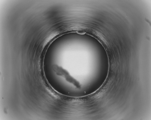 X0000096211026200801251030