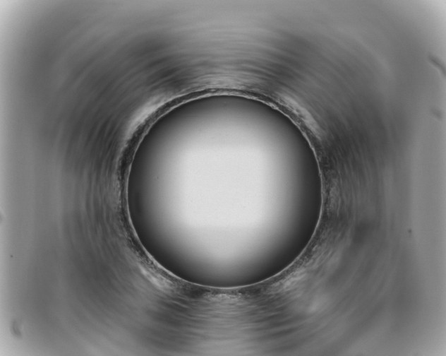 X0000096211027200801251030