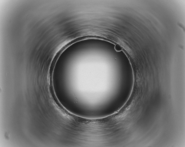 X0000096211028200801251030