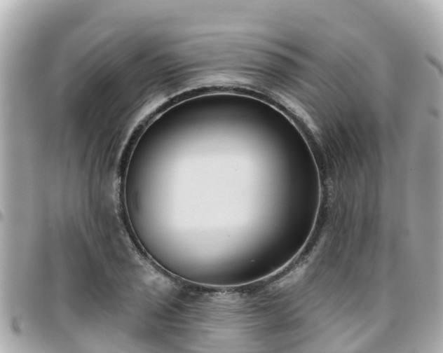 X0000096211029200801251030