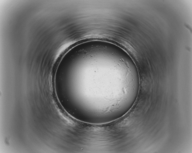 X0000096211030200801251030