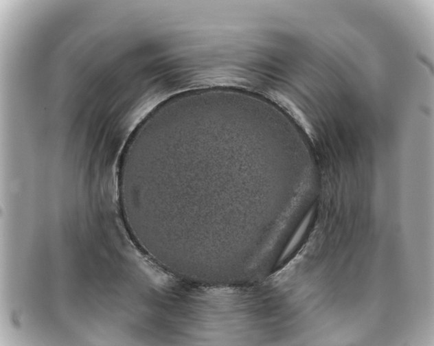 X0000096211031200801251030