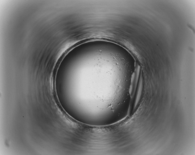 X0000096211032200801251030