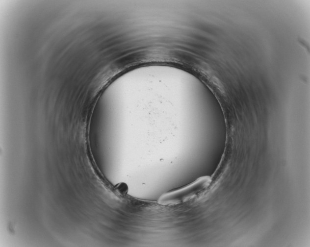 X0000096211033200801251030