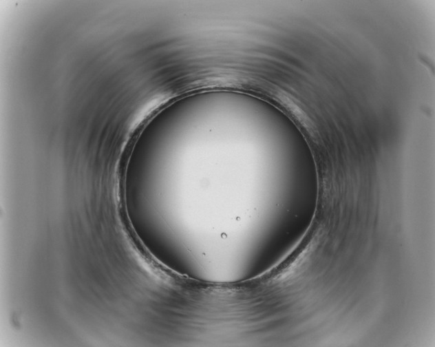 X0000096211034200801251030