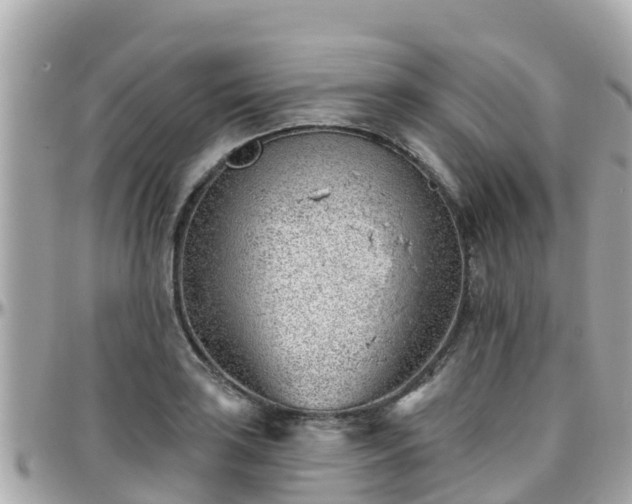 X0000096211035200801251030