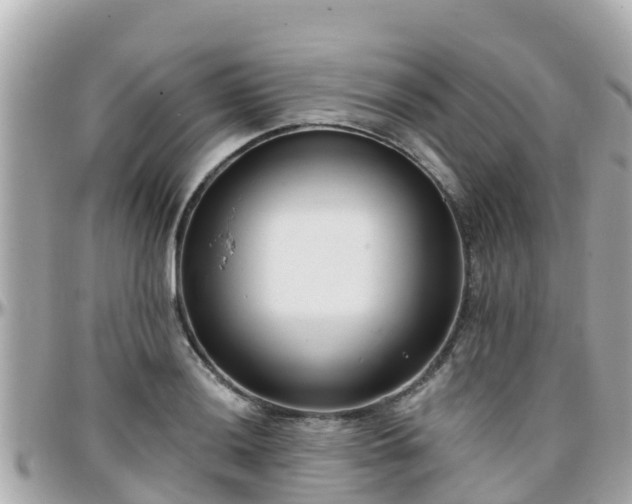 X0000096211036200801251030