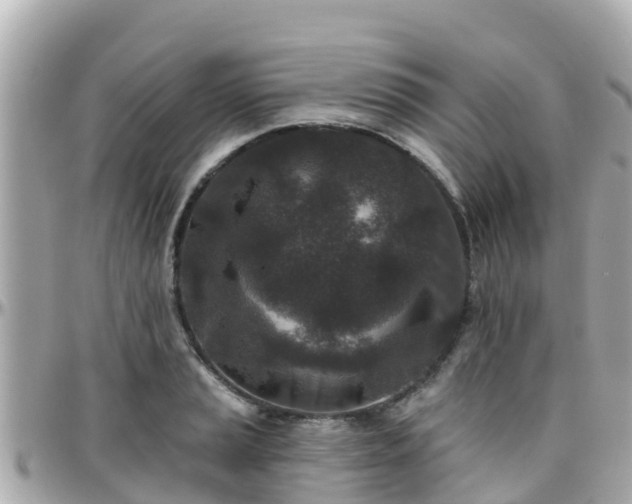 X0000096211037200801251030