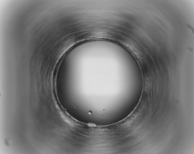 X0000096211039200801251030