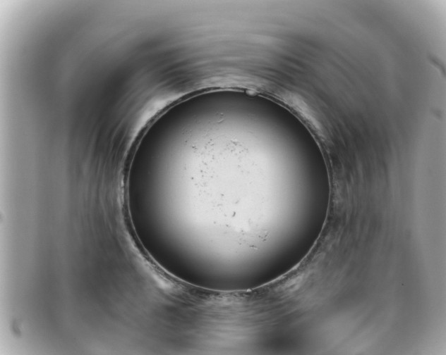 X0000096211040200801251030