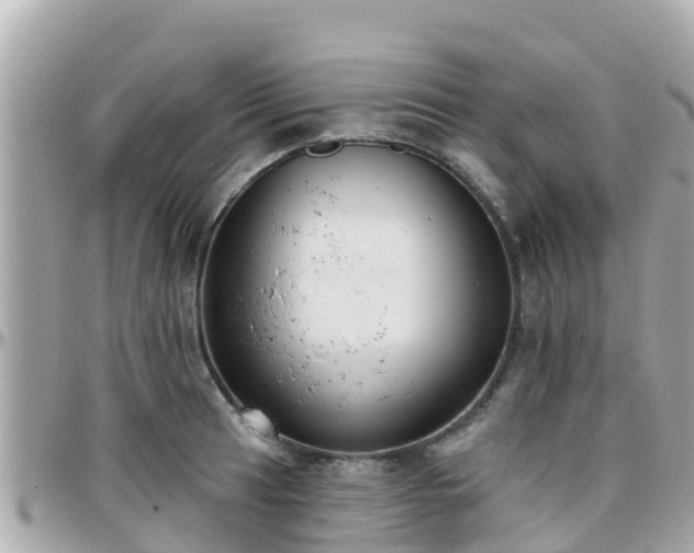 X0000096211041200801251030