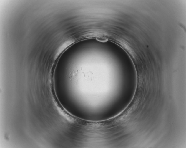 X0000096211042200801251030