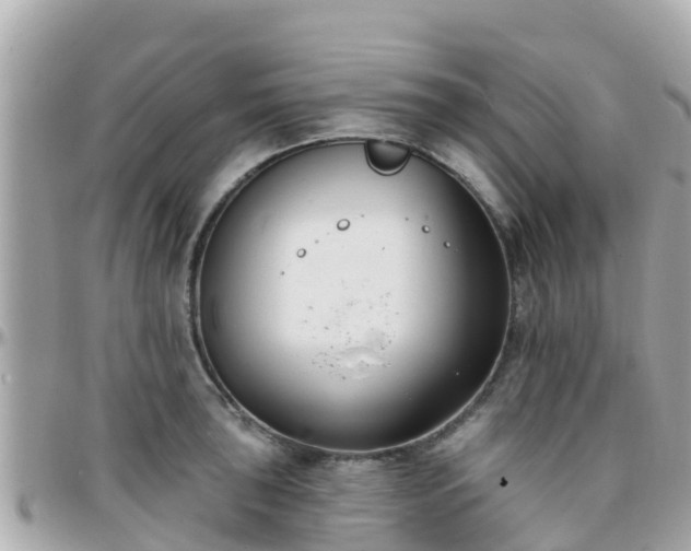 X0000096211043200801251030