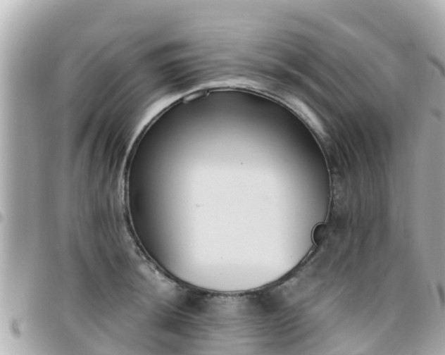 X0000096211044200801251030