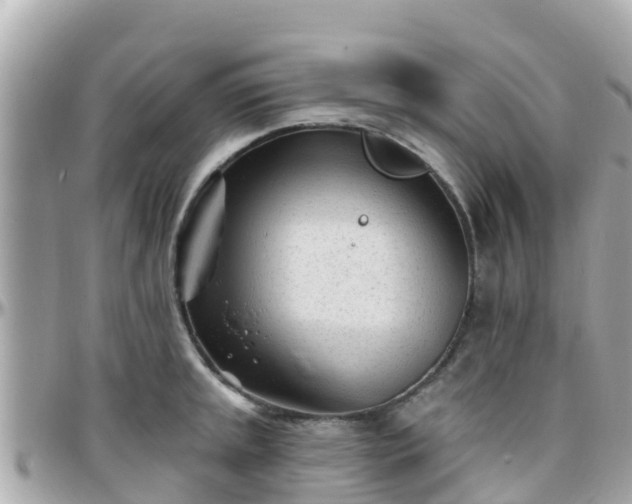 X0000096211045200801251030