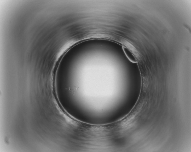 X0000096211046200801251030