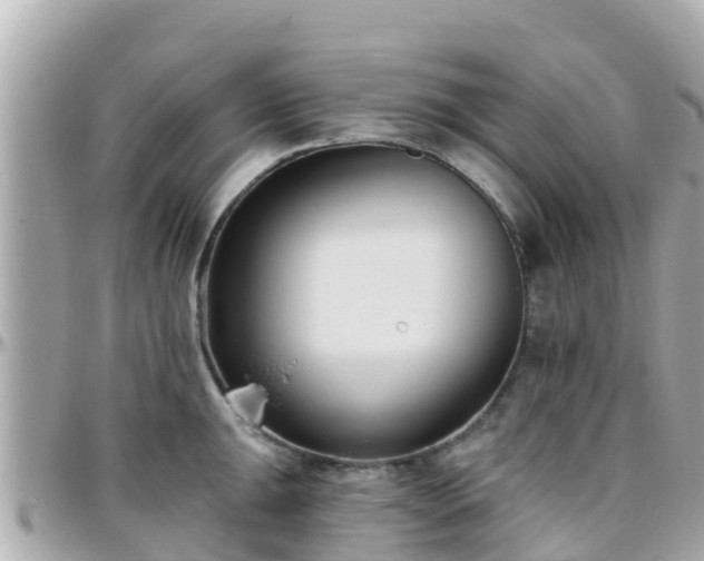 X0000096211047200801251030