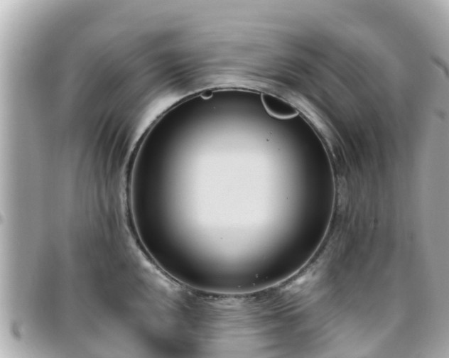 X0000096211048200801251030