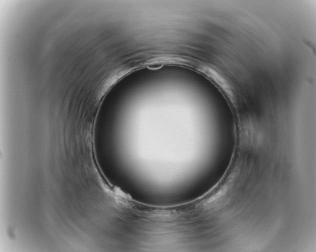 X0000096211049200801251030