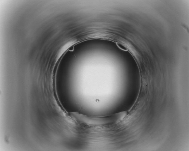 X0000096211050200801251030