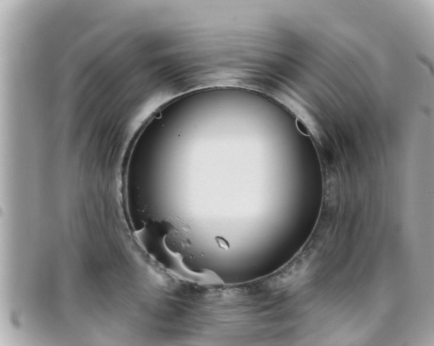 X0000096211051200801251030