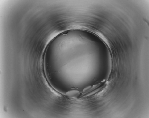 X0000096211053200801251030