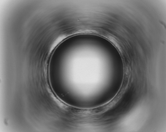 X0000096211054200801251030