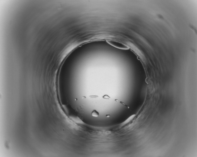 X0000096211055200801251030