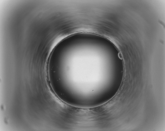 X0000096211056200801251030