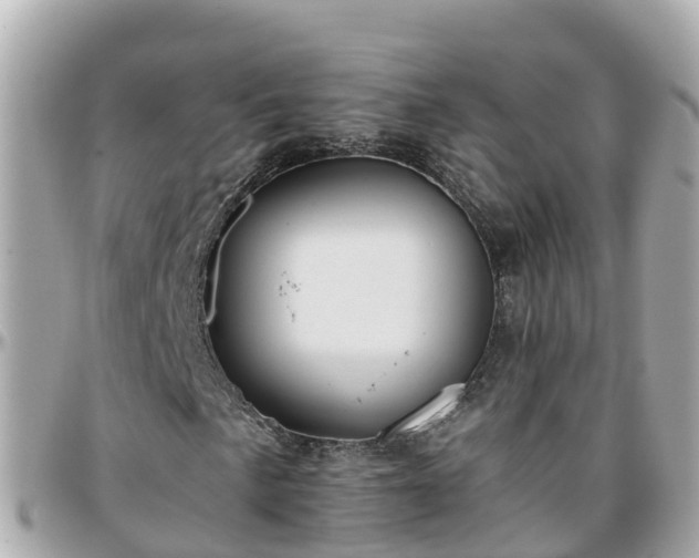 X0000096211057200801251030