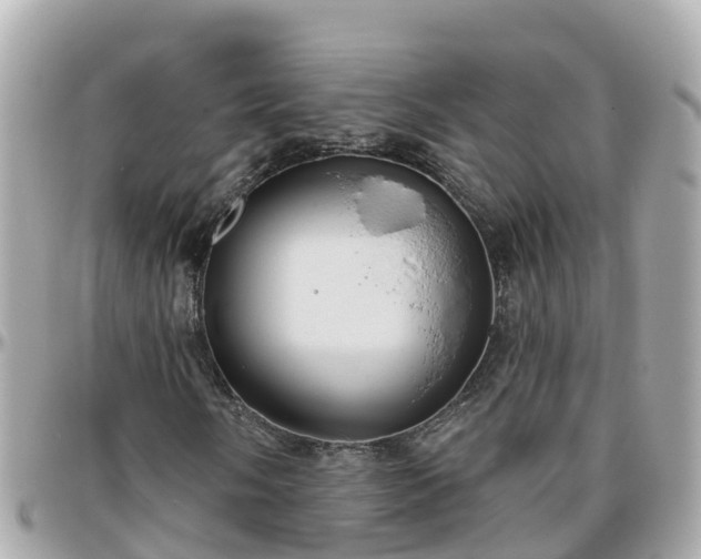 X0000096211058200801251030