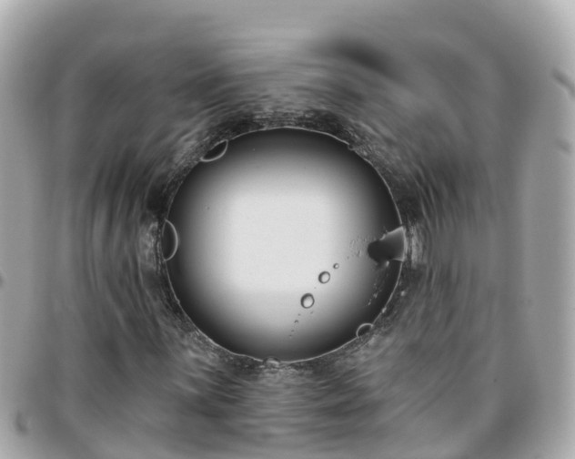 X0000096211059200801251030