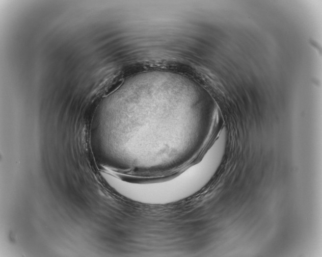 X0000096211060200801251030