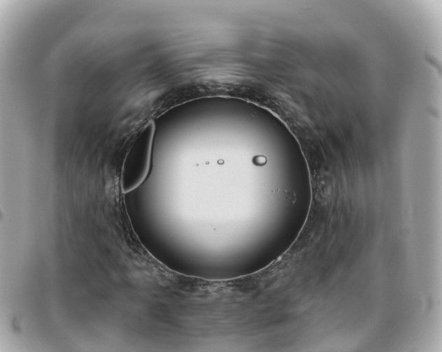 X0000096211061200801251029