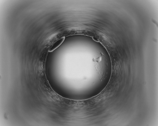 X0000096211062200801251029