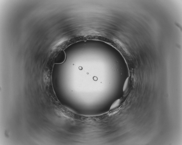 X0000096211063200801251029