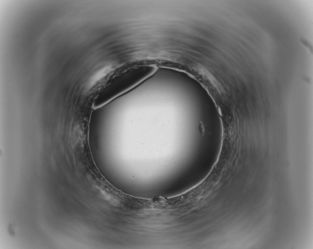 X0000096211064200801251029