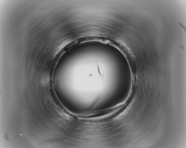 X0000096211065200801251029