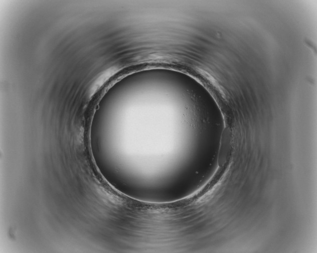 X0000096211066200801251029