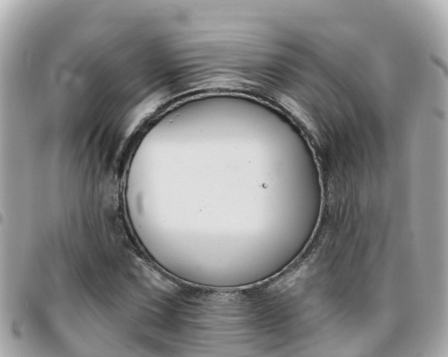 X0000096211067200801251029