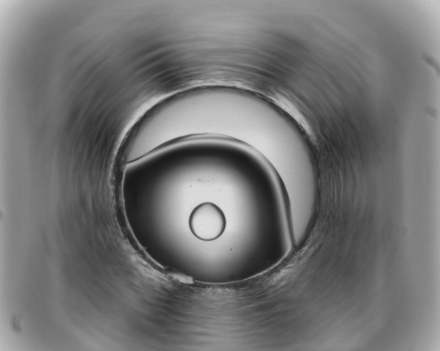 X0000096211068200801251029