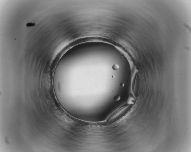 X0000096211069200801251029