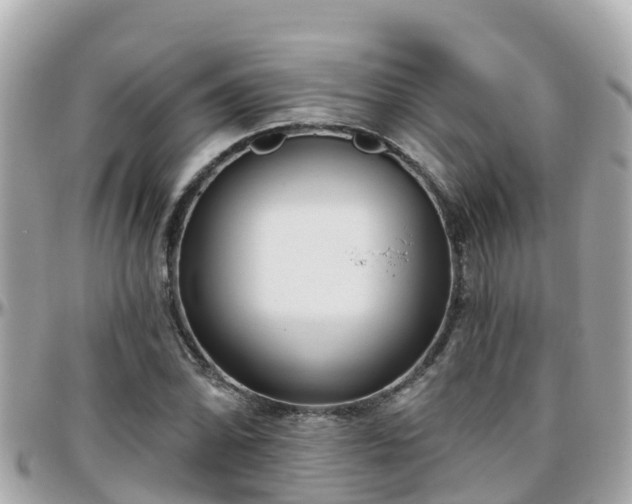 X0000096211070200801251029