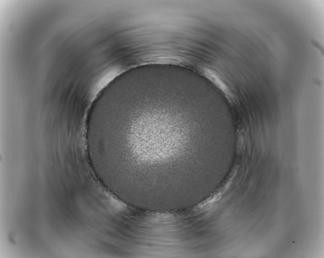 X0000096211071200801251029