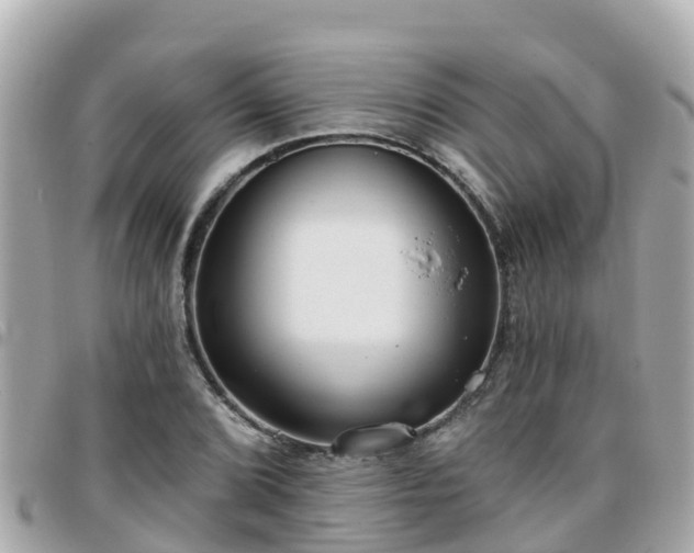 X0000096211072200801251029