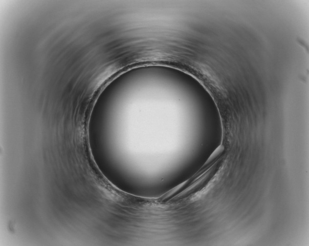 X0000096211073200801251029