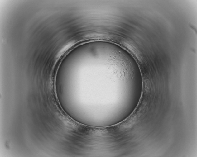 X0000096211074200801251029