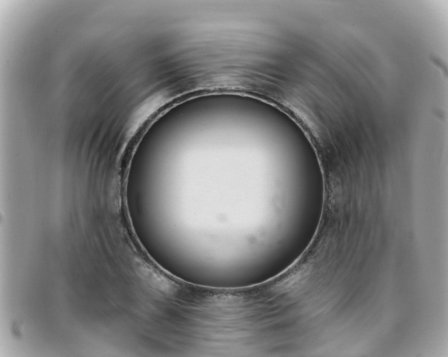 X0000096211075200801251029