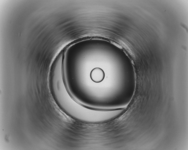 X0000096211076200801251029