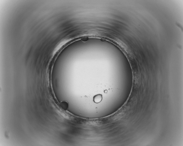 X0000096211078200801251029